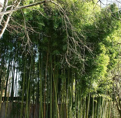 Chambres D'hotes Gael